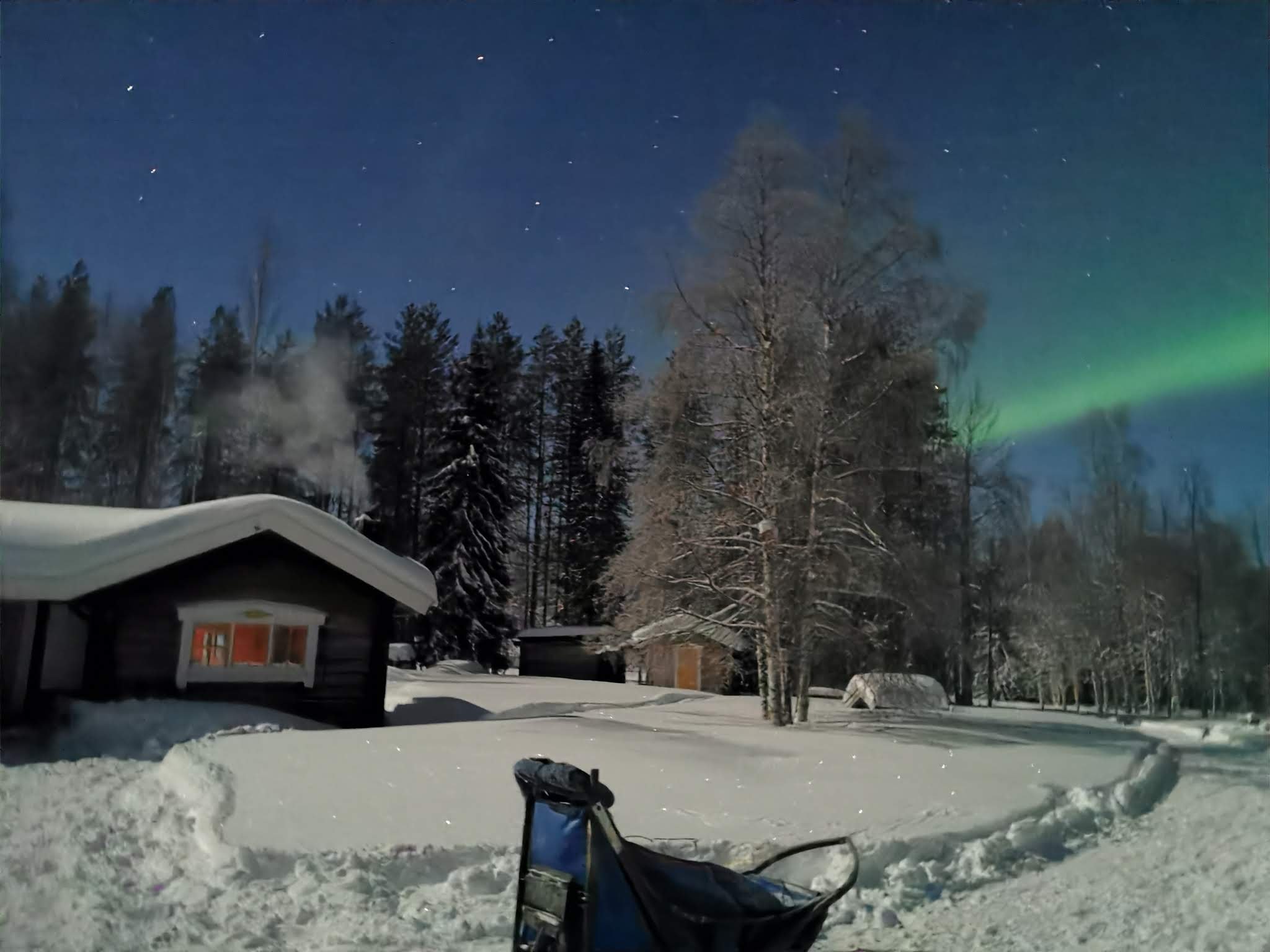 Yellow Snow Husky Tours
